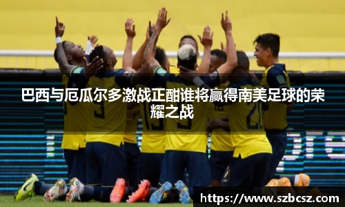 vsports胜利因您更精彩