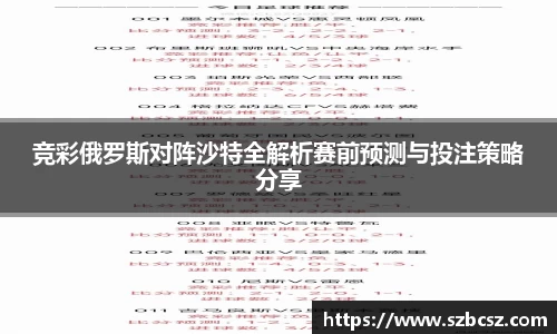 vsports胜利因您更精彩