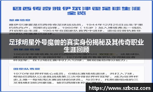 vsports胜利因您更精彩